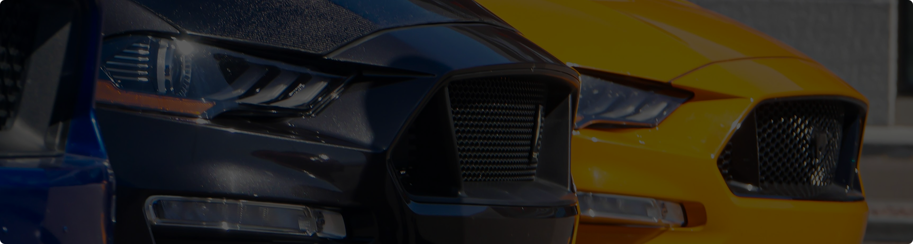 aboutPage.header.imageAlt